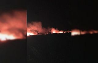 Anız yangını rüzgarla büyüdü, karayolundaki...