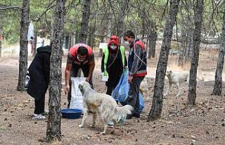 Ankara Kent Konseyi farkındalık oluşturan etkinliklerine...