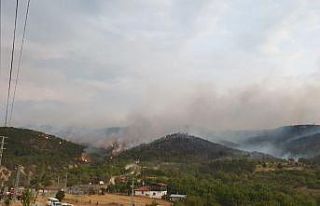 Ankara’da orman yangını