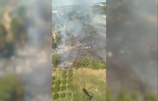 Antalya’da kırsal alanda yangın