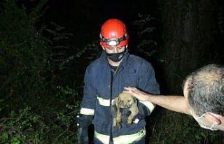 Antalya’da köpeği kurtarmak isterken mahsur kalan...