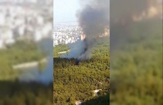 Antalya’da orman yangını büyümeden söndürüldü