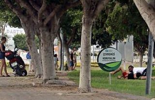 Antalya’nın göbeğinde kuzenlerin bitmek bilmeyen...