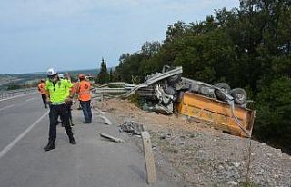 Aracına arı girince kaza yaptı: 1 yaralı