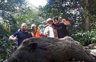 Araklılı avcılar 400 kiloluk domuza acımadı