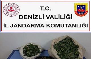 Arazide uyuşturucu kurutmaya çalışırken jandarmaya...