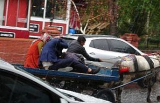 Ardahan’a dolu yağdı