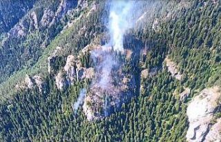 Artvin’deki orman yangını 3 gündür devam ediyor