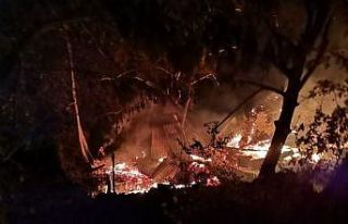 Artvin’in Yusufeli ilçesinde yangın