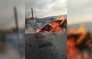Aşıkşenlik Mahallesi’nde ot yangını