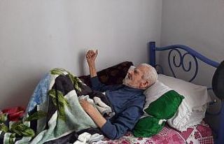 Asırlık dut ağacı zamana meydan okuyor