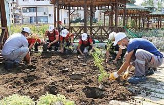 Atakum Belediyesi AtaTohum’da ilk üretim tamamlandı