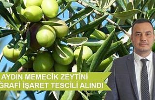 ATB, Aydın Memecik Zeytini Coğrafi İşaret Tescili’ni...