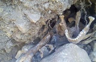 Atık su kanalı kazısında insan kemikleri, mermi...