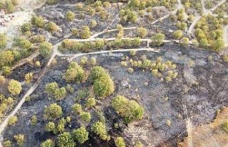 ATV’den çıkan yangın 3,5 dönümlük alanı yaktı