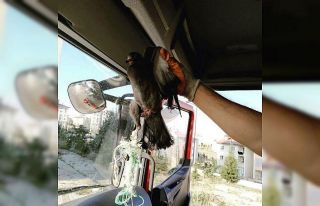 Ayağına ip dolanan güvercini itfaiye kurtardı