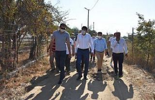 Aydın Büyükşehir ve Nazilli Belediyesi, Bozyurt...