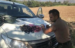 Aydın’da 4 avcıya 20 bin TL ceza