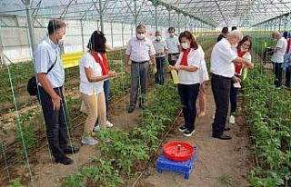 Aydın’da kadın çiftçilere uygulamalı eğitim...