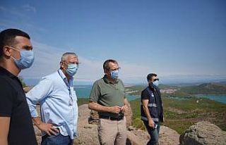 Ayvalık Belediye Başkanı Ergin: "Yanan alanların...