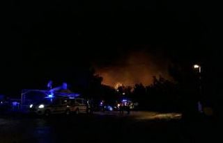 Ayvalık Beydağ’da orman yangını