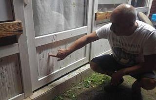 Ayvalık’ta ceviz büyüklüğündeki dolu hayatı...