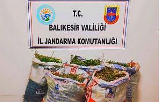 Ayvalık’ta jandarmadan uyuşturucu operasyonu