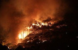 Ayvalık’ta rüzgar hızını azalttı ancak yangın...