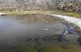 Bafa Gölü’ndeki balık ölümleri araştırılıyor