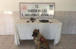 Bafra’da jandarma uyuşturucuya geçit vermiyor