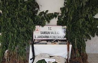 Bafra’da uyuşturucu operasyonu