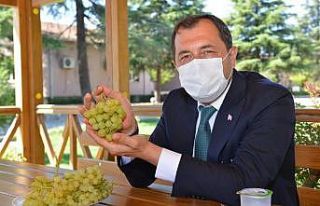 Bağcılık Araştırma Enstitüsü ürünleri, Rumeli...