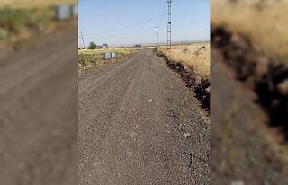 Bağlar Belediyesi yol yapım çalışmalarına devam...