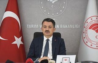 Bakan Pakdemirli: “Bu yıl kuru üzüm fiyatını...