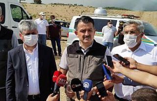 Bakan Pakdemirli: “Yangını henüz kontrol altına...