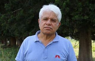 Balıkçı ağına takılan dev vatoz için balıkçılara...