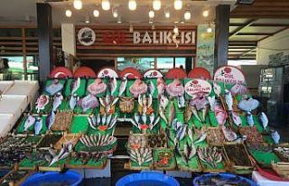 Balıkçılar "Vira bismillah" diyerek sezona...