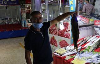 Balıkçılara sıcak hava darbesi