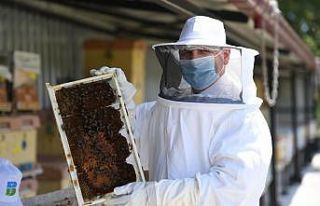 Balıkesir Büyükşehir’e “Sağlık Akan Petekler”...