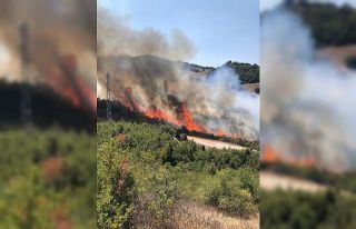 Balıkesir’de makilik alan yangını