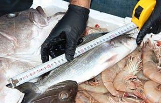 Balıkların boyları teker teker mezura ile ölçüldü