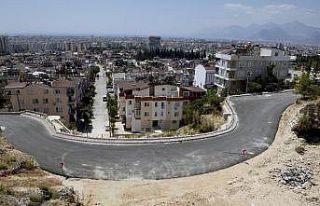 Barış Mahalles Akdeniz bitkileriyle süslenecek