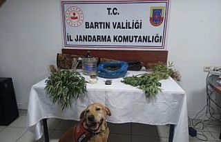 Bartın’da uyuşturucu operasyonu