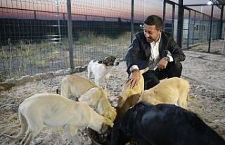 Başkan Arı, Hayvan kasabasında incelemelerde bulundu