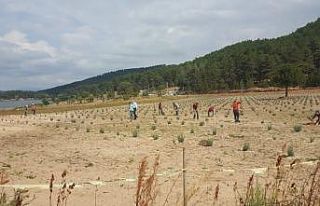 Başkan Biçer: Gölcük cazibe merkezi olacak"