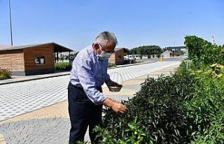Başkan Büyükkılıç’tan organik tarıma destek,...