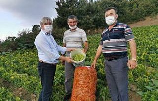 Başkan Cengiz hizmet için karış karış geziyor