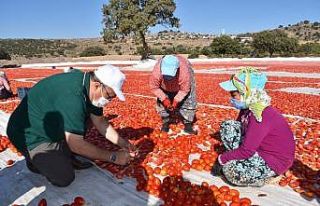 Başkan Çerçi Pelitalan’da üreticileri dinledi