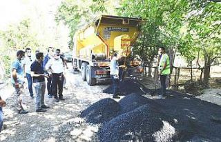 Başkan Çınar, yol yenileme hizmetlerini inceledi