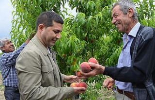 Başkan Günel, en başarılı belediye başkanları...